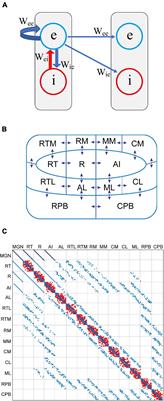 The Adaptation Model Offers a Challenge for the Predictive Coding Account of Mismatch Negativity